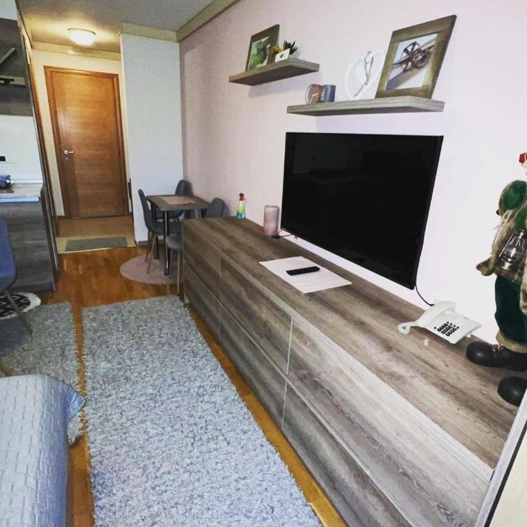 Lara apartman U248, Privatni apartman u sklopu hotela Vučko - Studio Apartment - 14