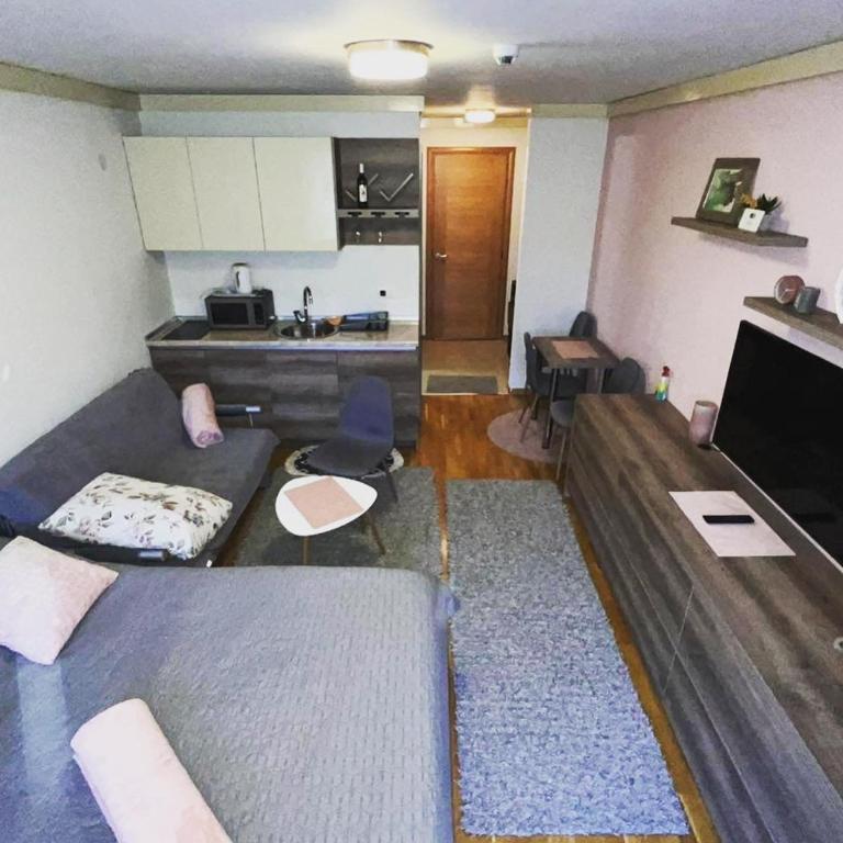 Lara apartman U248, Privatni apartman u sklopu hotela Vučko - Studio Apartment - 15