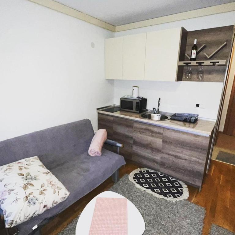 Lara apartman U248, Privatni apartman u sklopu hotela Vučko - Studio Apartment - 16