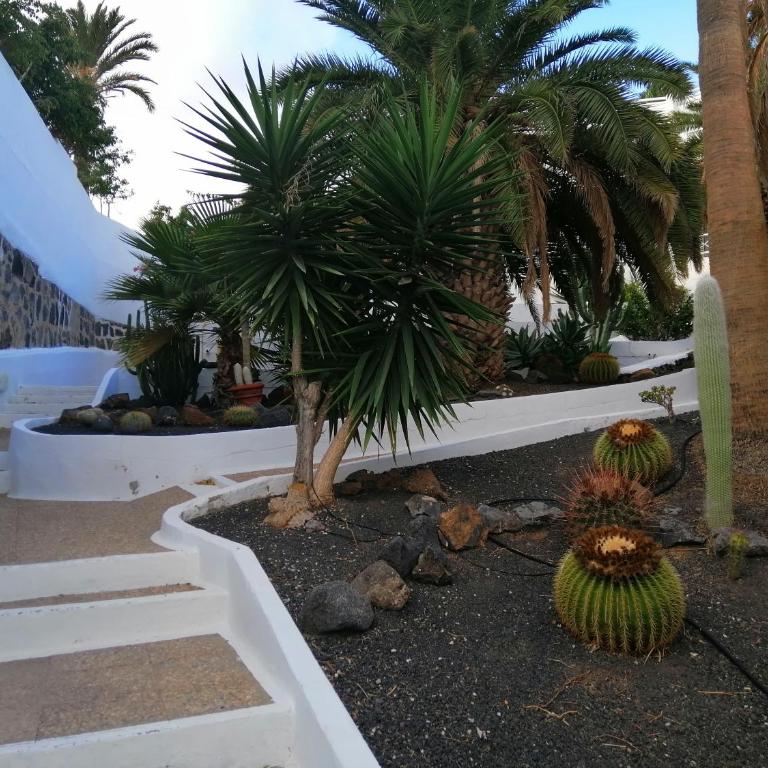 Apartamento Te Miti - One-Bedroom Apartment - 28