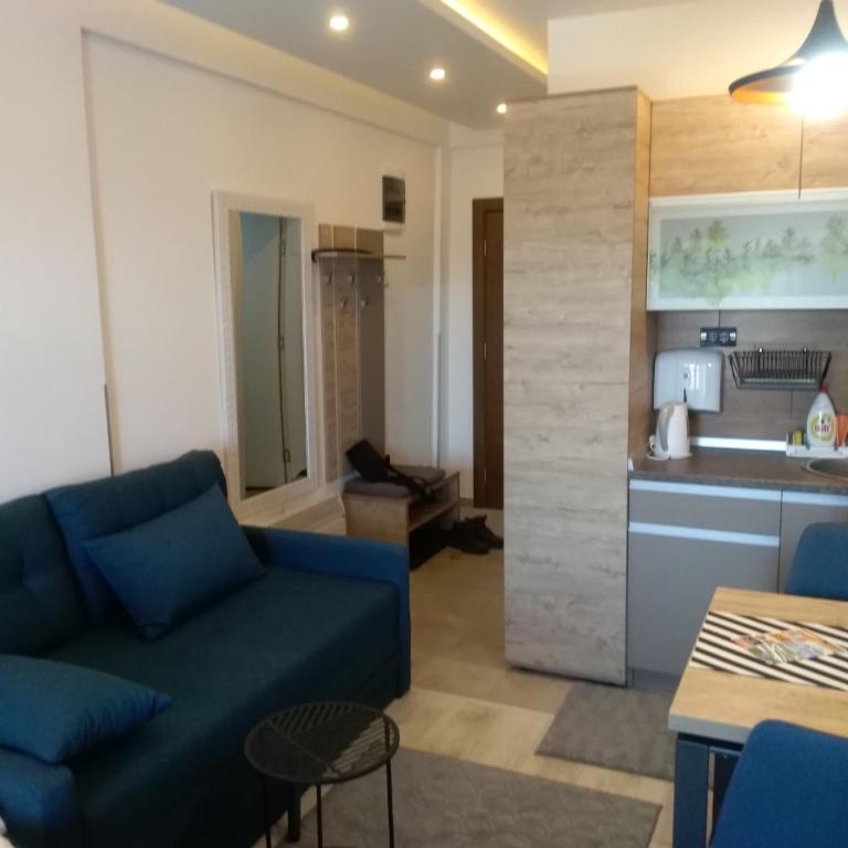 Okili apartman S11 Milmari resort Kopaonik - Apartment with Mountain View - 4