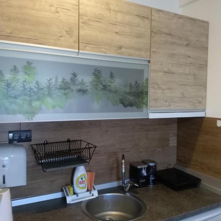 Okili apartman S11 Milmari resort Kopaonik - Apartment with Mountain View - 20