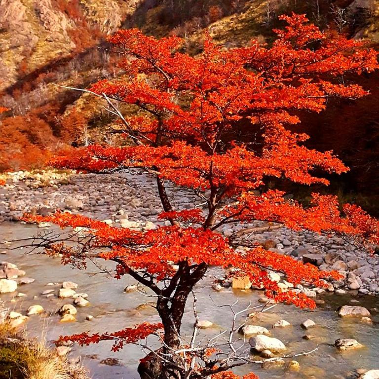 Casa Huemules - Casa de 3 dormitorios - 23