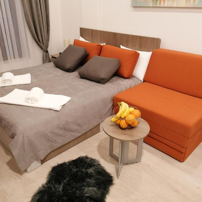 Milmari Future Gold Apartmani Kopaonik - Apartman sa 1 Spavaćom Sobom - 6