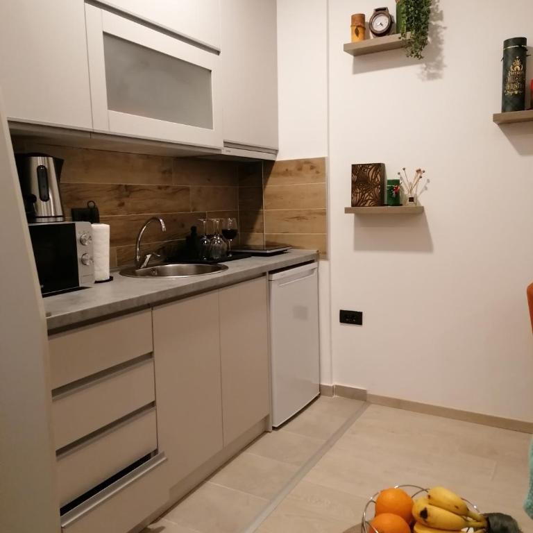 Milmari Future Gold Apartmani Kopaonik - Apartman sa 1 Spavaćom Sobom - 19
