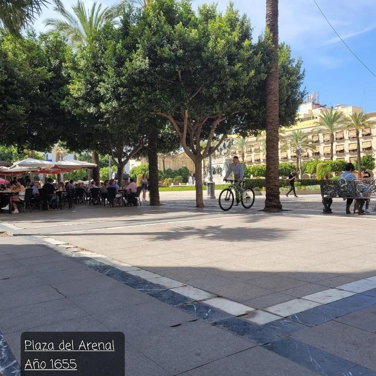 Jerez Centro Historico - Apartamento de 2 dormitorios - 71