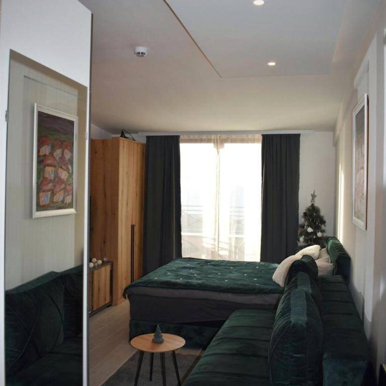 Eagle View Milmari N81 - One-Bedroom Apartment - 13