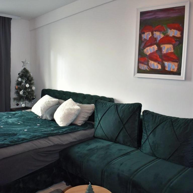 Eagle View Milmari N81 - One-Bedroom Apartment - 5