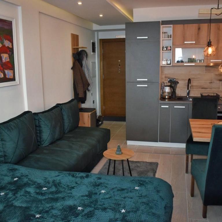 Eagle View Milmari N81 - One-Bedroom Apartment - 11