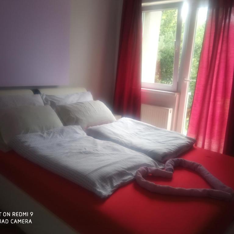 Apartmani Lana - One-Bedroom Apartment - 39