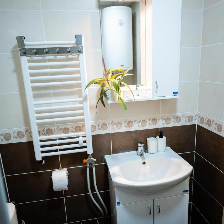 Godimento Vrnjačka Banja - One-Bedroom Apartment - 32