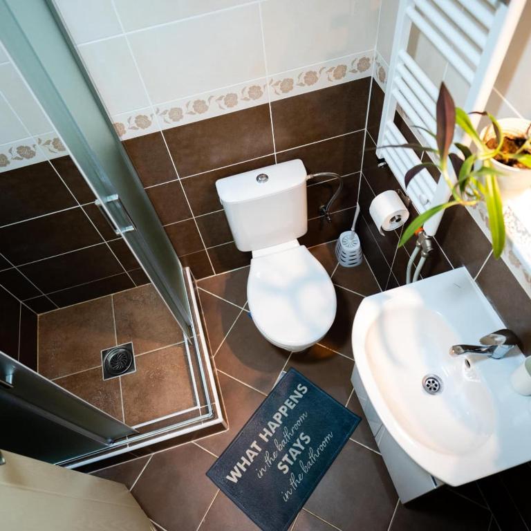 Godimento Vrnjačka Banja - One-Bedroom Apartment - 10