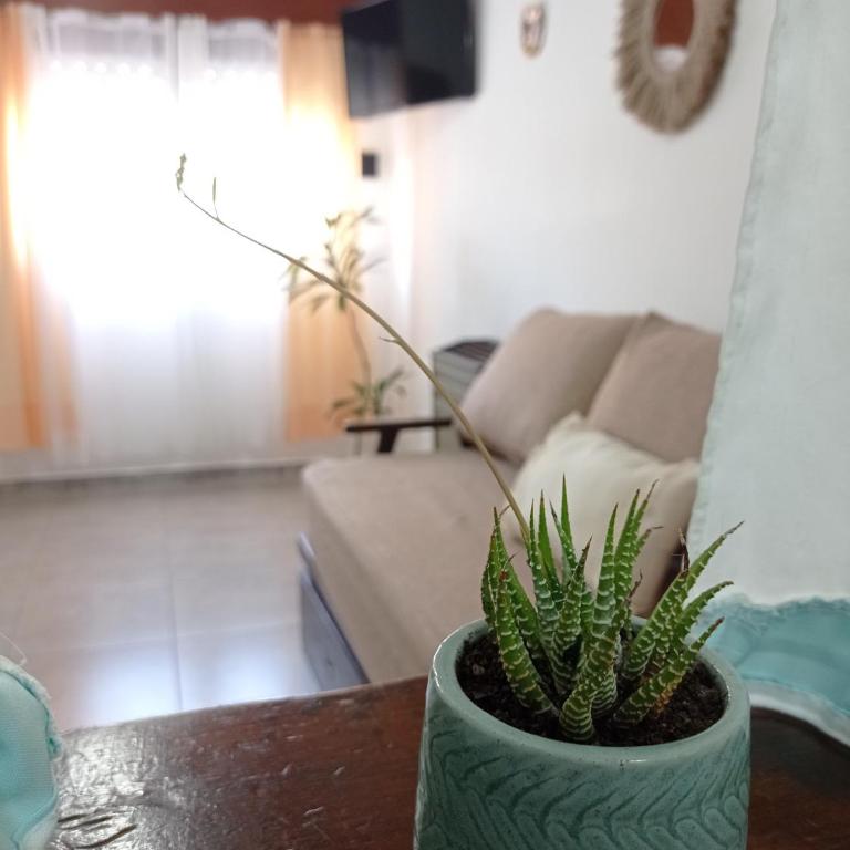 Departamento Boho - Apartment - 3