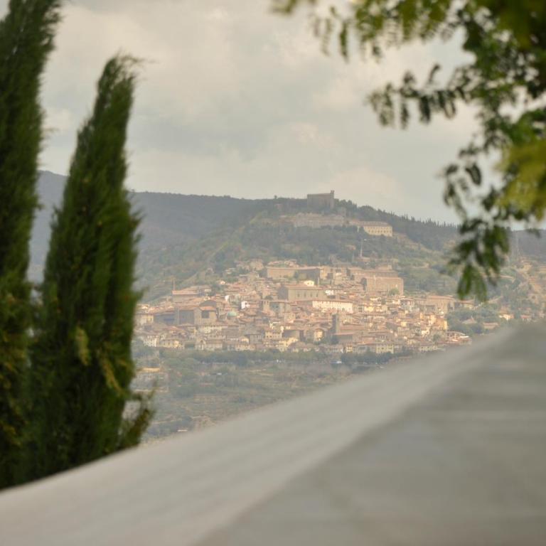 Luxury Villa In Cortona - Villa - 4