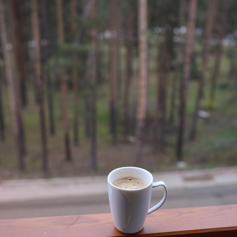 BELLE VIE apartman Zlatibor - One-Bedroom Apartment - 62