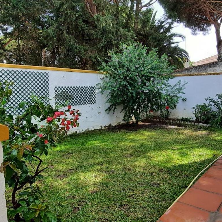 Oasis en la playa - Apartamento - 2