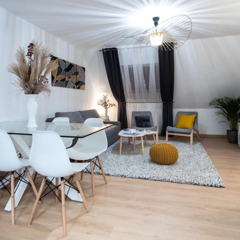 Superbe appartement au coeur du Colmar - Appartement 2 Chambres - 1