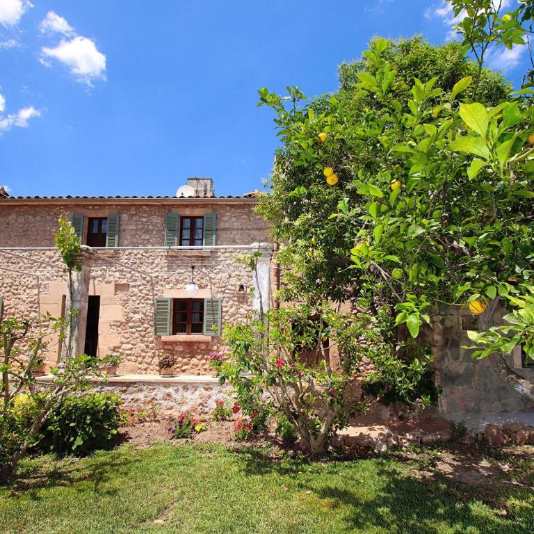 Villa Punxa - Villa - 12
