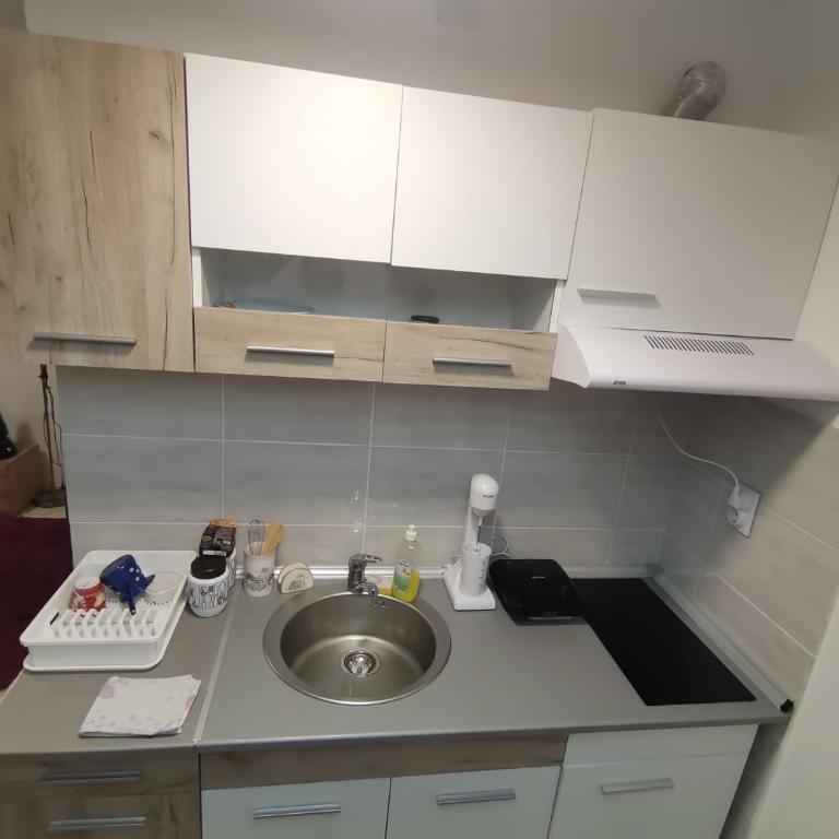 Apartman ST.Nedeljkovic Sokobanja - Porodični Studio - 21