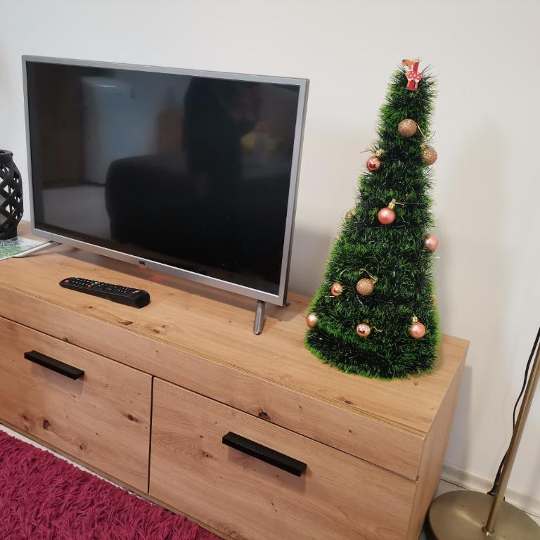 Apartman ST.Nedeljkovic Sokobanja - Porodični Studio - 22