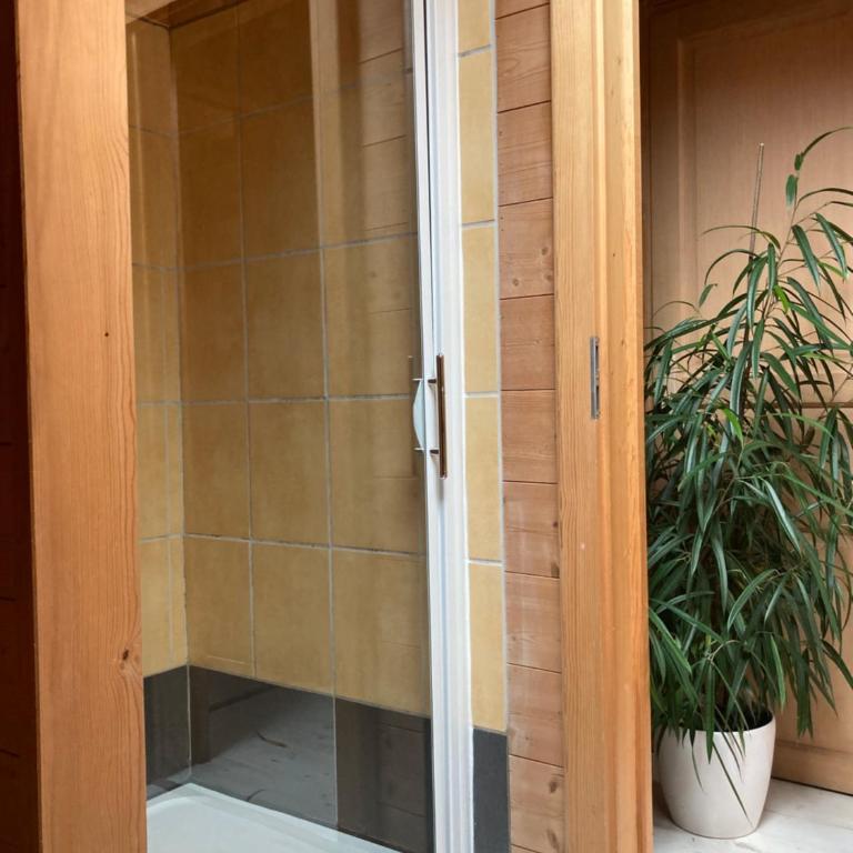 Les deux loups - Appartement 1 Chambre - 9