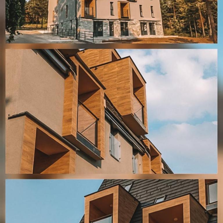Apartman TRAG Divčibare - Studio sa Bračnim Krevetom (King-size) - 29