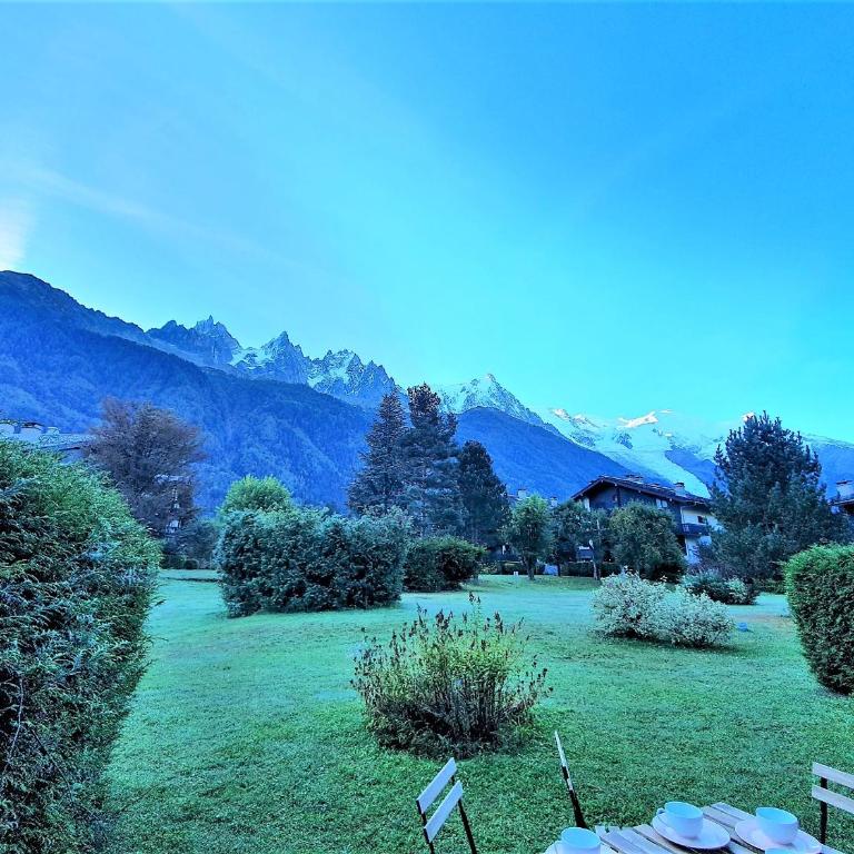 Chamonix Appartement Vue Mont Blanc avec jardin - Appartamento con 2 Camere da Letto e con Vista Montagna - 16