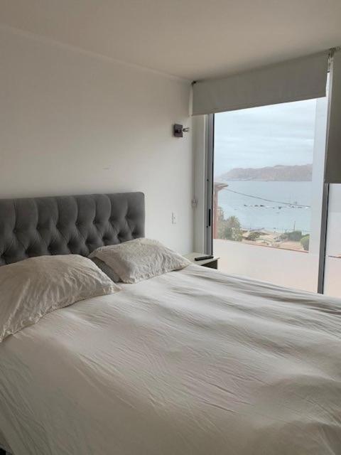 Don Felix - Apartamento Superior - 7