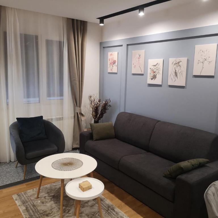 MM Kolasin Lux N1 - Apartman sa 1 Spavaćom Sobom - 10