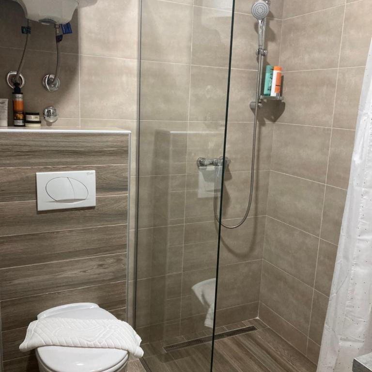 Ivkovic spa Milmari N16 - Studio s King-sajz Krevetom i Sofom na Izvlačenje - 20