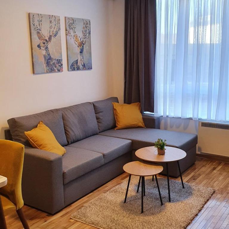 Relax apartment Kopaonik - Apartman sa 1 Spavaćom Sobom - 1