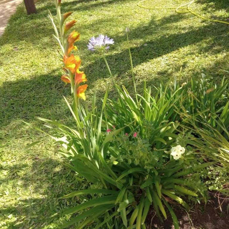 RAIZ DEL CIELO, entre 2 jardines de ensueño - Casa de 2 dormitorios - 39