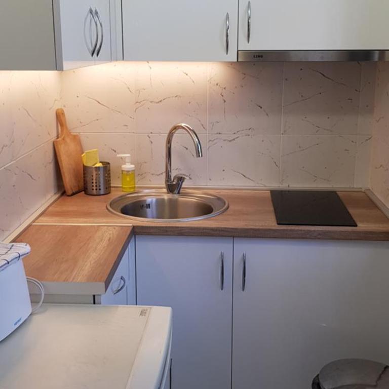 Apartments Terazije - Apartman sa 1 Spavaćom Sobom - 12