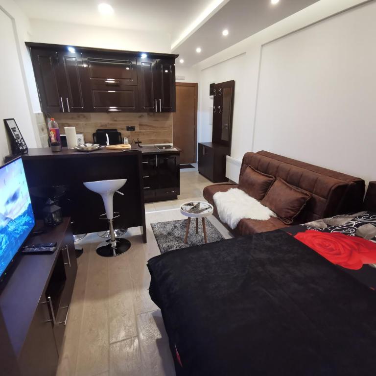 Kopaonik apartmani NR - One-Bedroom Apartment - 20
