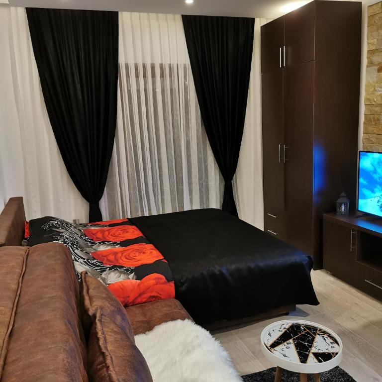 Kopaonik apartmani NR - One-Bedroom Apartment - 17