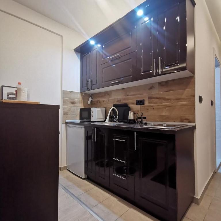 Kopaonik apartmani NR - One-Bedroom Apartment - 23