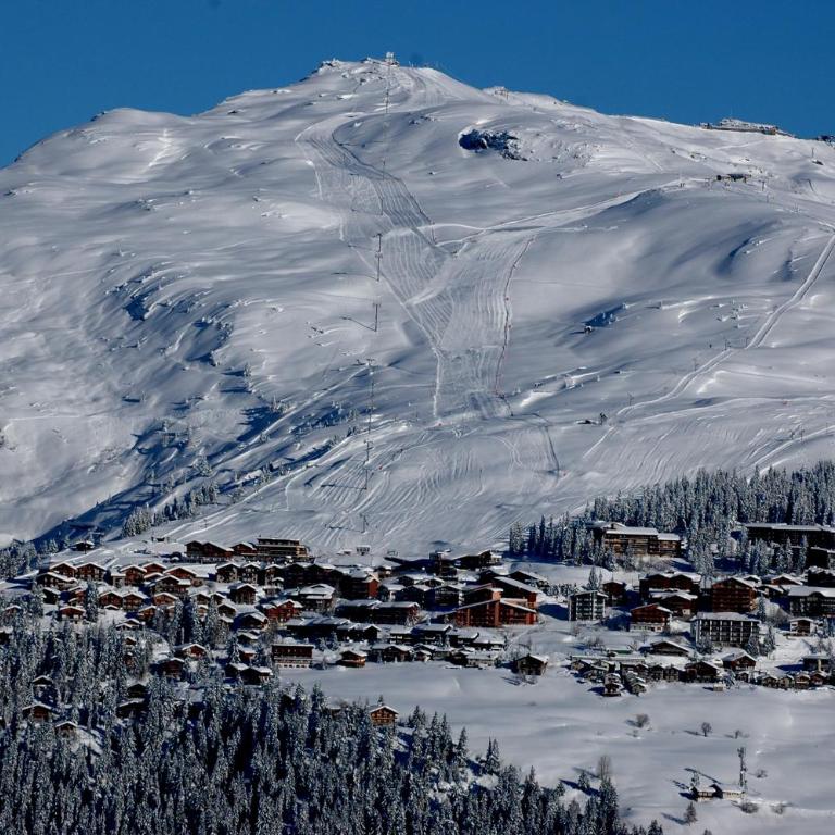 Le Panoramic - Chalet - 30
