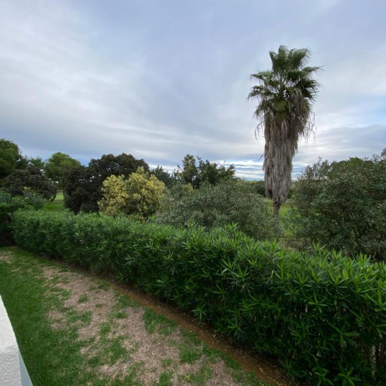 Oasis Hoyo 12 - Oliva Nova playa MET&GOLF - Apartamento de 2 dormitorios - 44