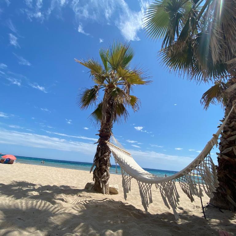 Calpe Beach Sea View - Apartamento de 2 dormitorios - 22