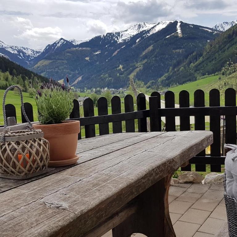 Der Perweinhof - Appartamento con Terrazza - 4