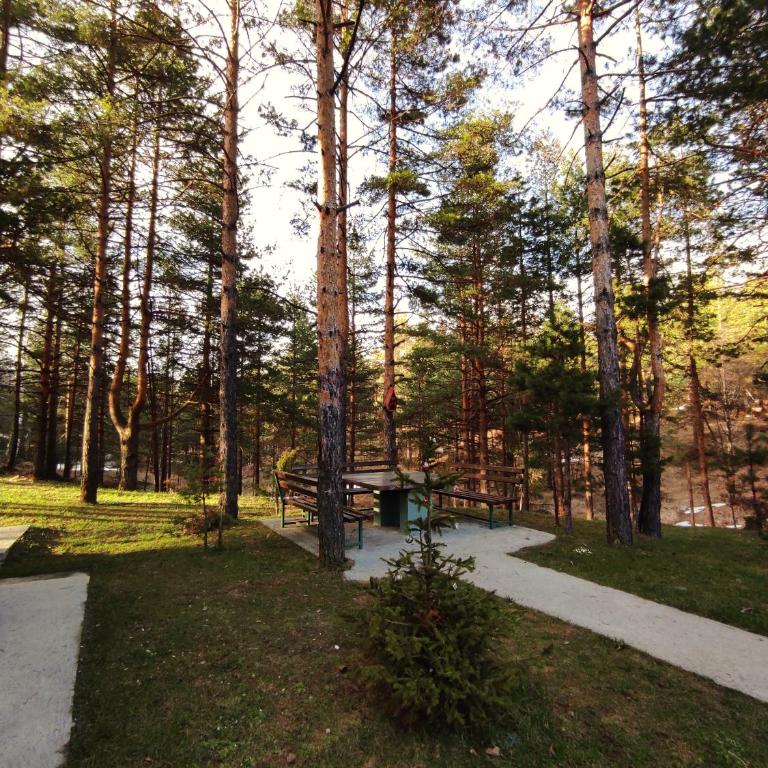 Apartman Mis Divcibare - Appartement 2 Chambres - 18