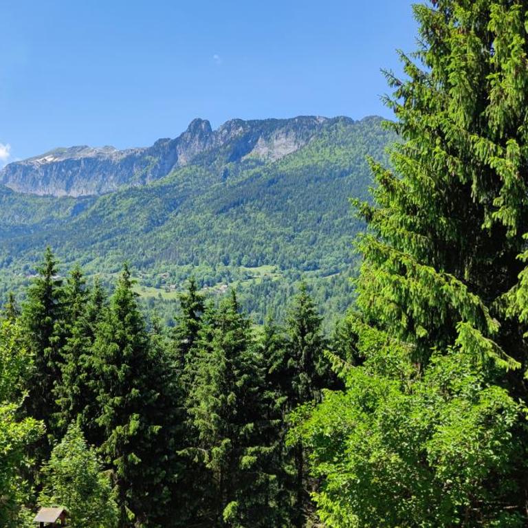Chalet l'Alpe - Chalet 3 Chambres - 45