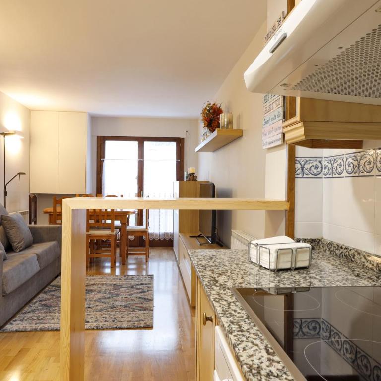 Apartamento Besiberri Vielha - Apartamento de 1 dormitorio - 13