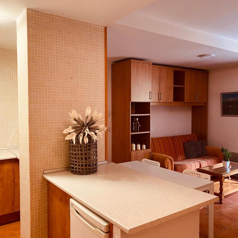 Apartamentos Bluettravel Snow Confort Monte Gorbea - Apartamento de 1 dormitorio - 24
