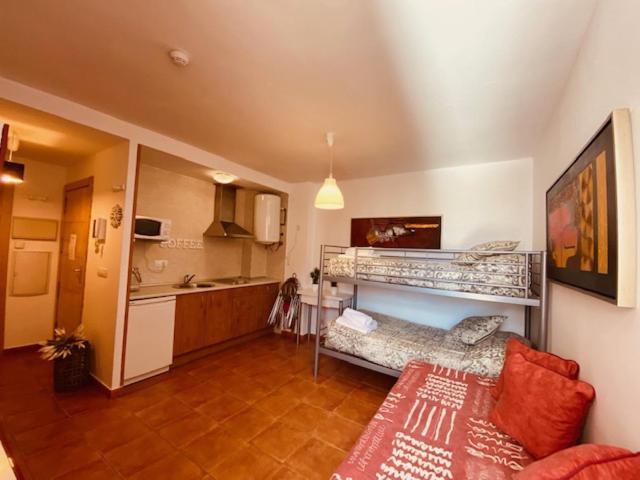 Apartamentos Bluettravel Snow Confort Monte Gorbea - Estudio - 12