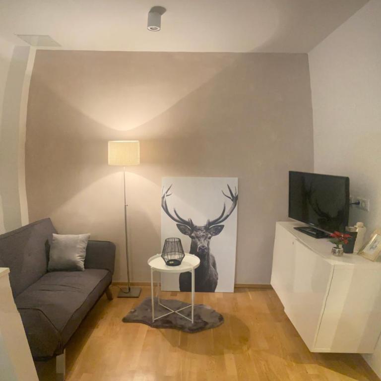 Appartement in Graz-Geidorf - Apartment mit 1 Schlafzimmer - 6