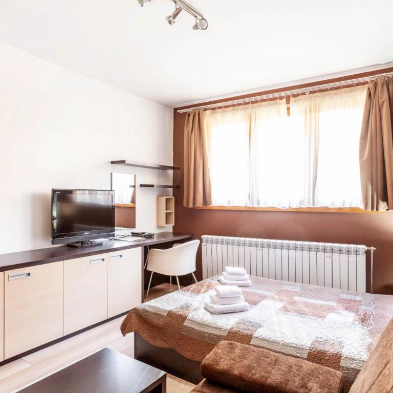 Mountain Lux Zoned - Studio - 2