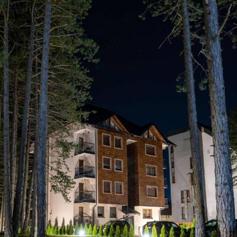 Apartman Pavle - Apartman sa 1 Spavaćom Sobom - 1