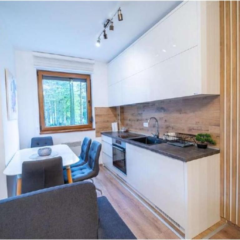 Apartman Pavle - Apartman sa 1 Spavaćom Sobom - 9