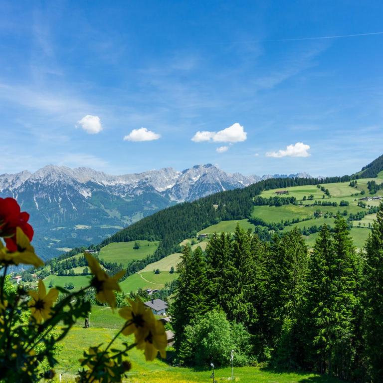 Alpengasthof Hochsöll - Doppelzimmer mit Bergblick - 4